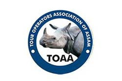 TOAA