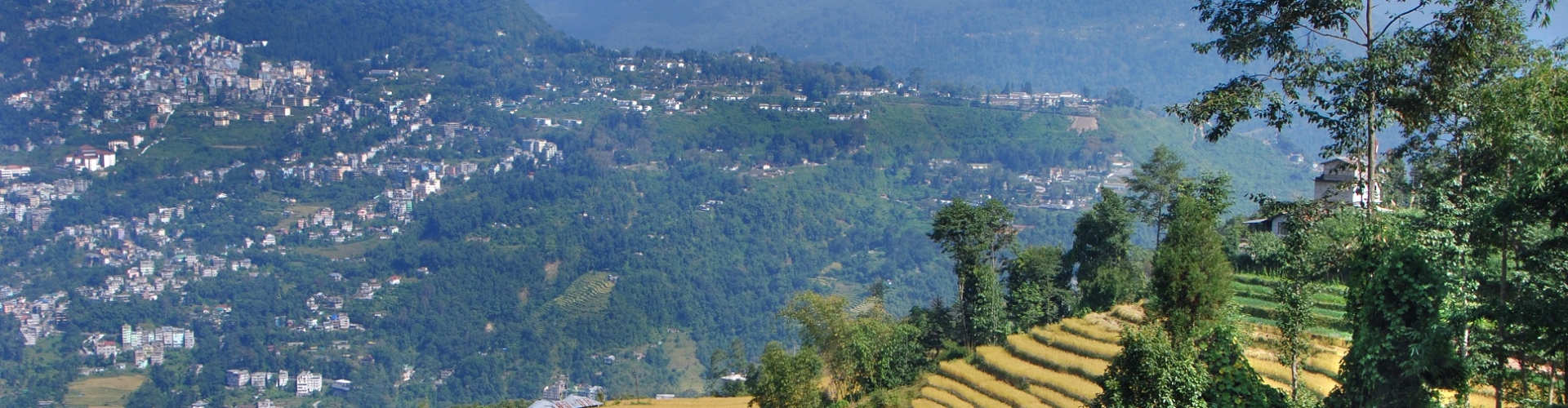 Delightful Sikkim Honeymoon Tour