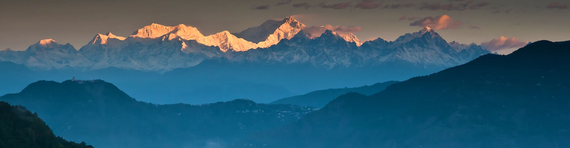 Exotic Darjeeling-Family Special