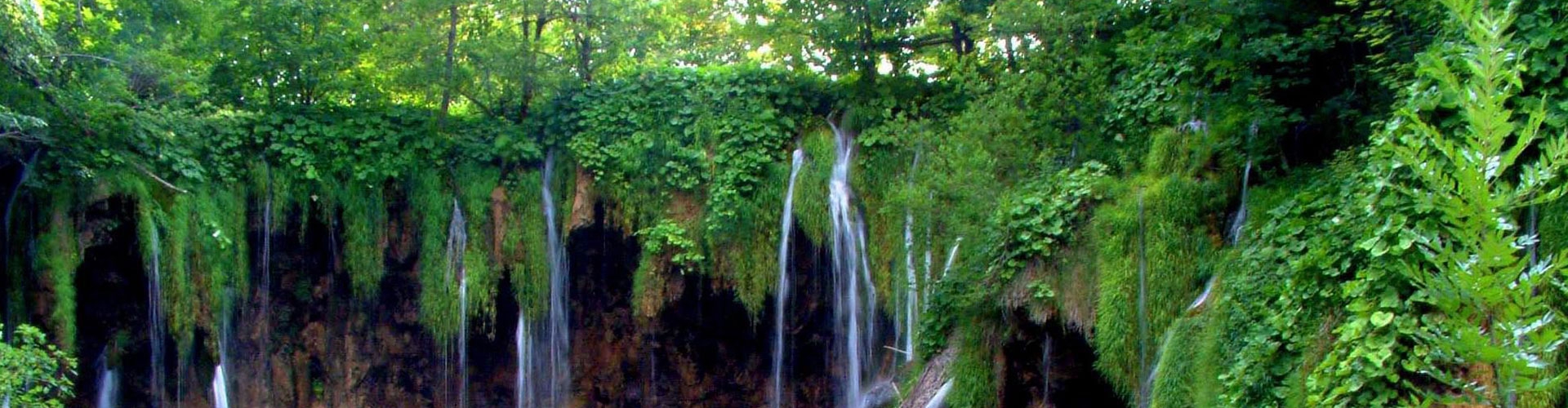 Fascinating North East - Honeymoon Special