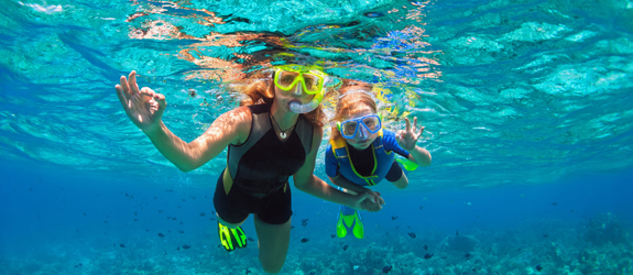 Dive (or snorkel) at the Sea’s of Indonesia