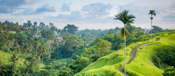 Ubud