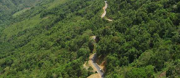 Memorial of Chhingpui