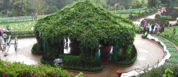 Assam State Zoo cum Botanical Garden