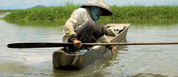 Boating in Loktak Lake