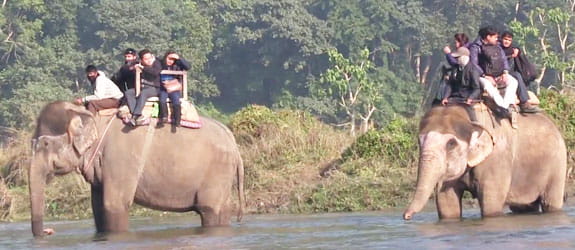 Walk through the Chitwan National Park