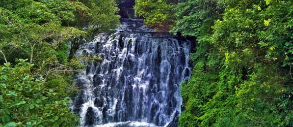 Elegant Elephant Falls