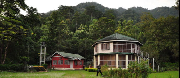 Namdapha National Park