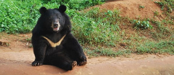 ildlife Spotting in Intanki Wildlife Sanctuary