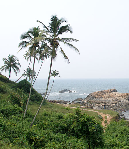Relax in Goa Beaches