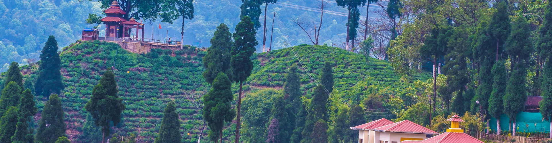 Gangtok Lachung Pelling Darjeeling Kalimpong