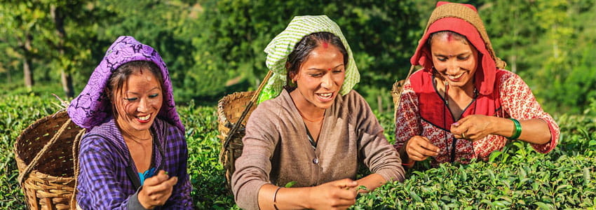 Culture of Darjeeling