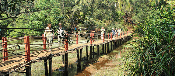 Spice Plantation Tour