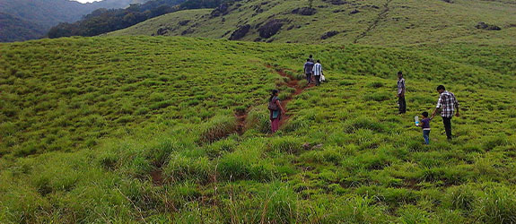 Trek in the Western Ghats