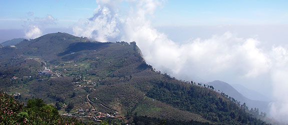 Ooty & Kodaikanal