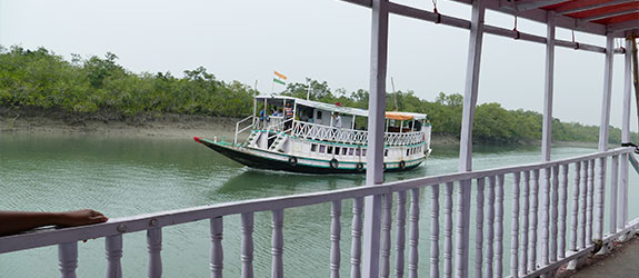 Sundarbans Boat Safari