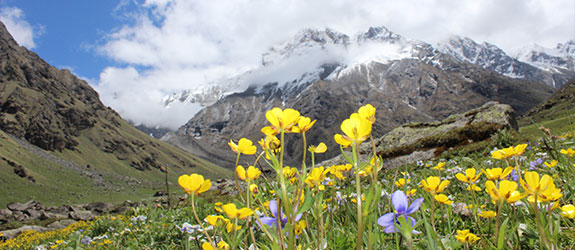 Valley of Flowers Trek